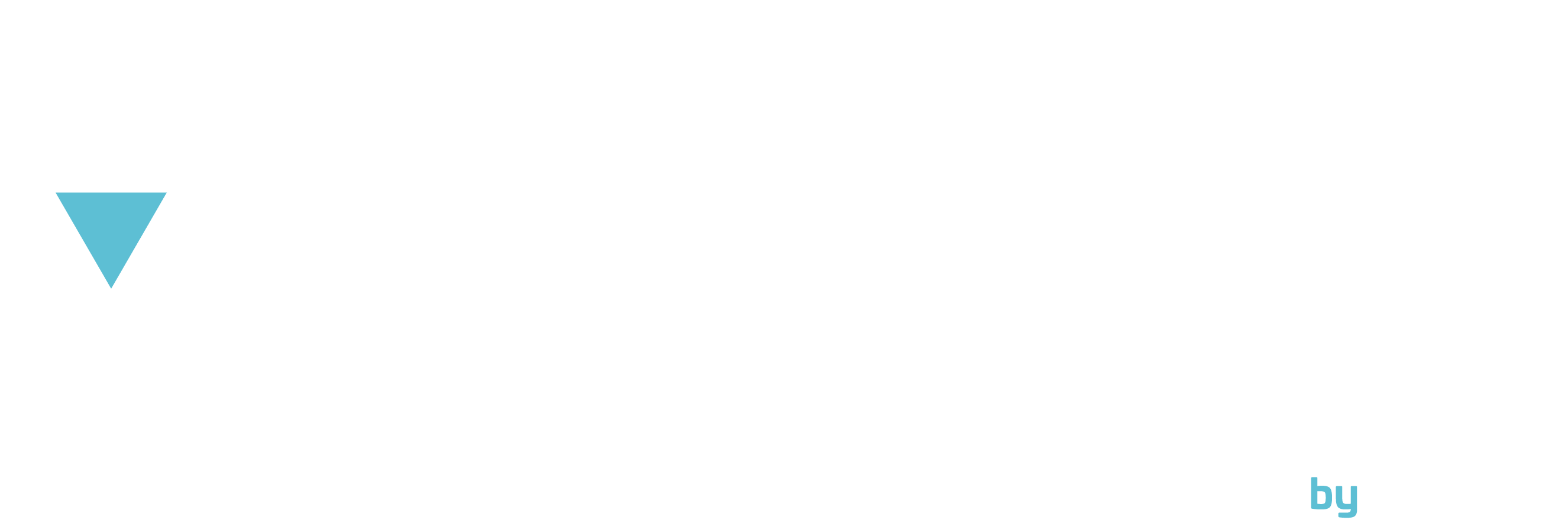 NEW logo ERCOM BLANC